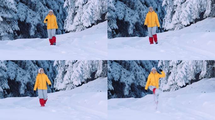 一位女士在山区的雪松林中徒步旅行。