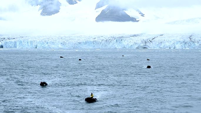 南极半岛蓝色海洋上美丽多彩的皮划艇