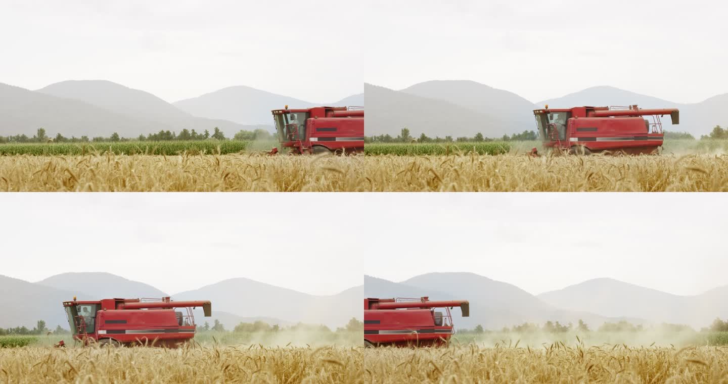 LD农民在红色联合收割机中收割小麦