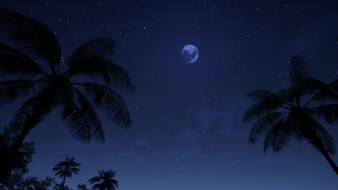夜晚海边椰子树01