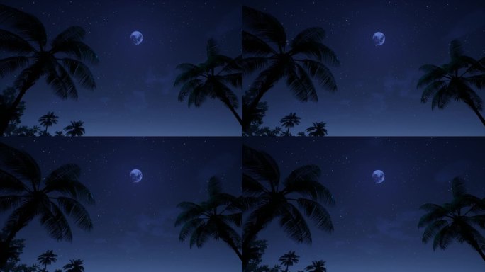 夜晚海边椰子树01