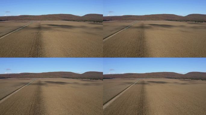 秋季玉米田、北方多色森林和山地农业鸟瞰图
