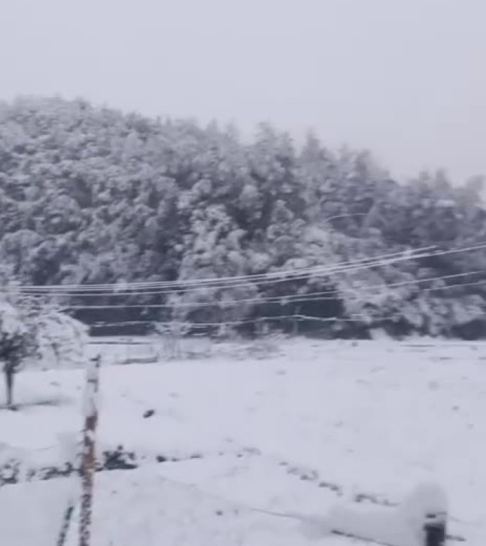 乡村瑞雪兆丰年田园风光