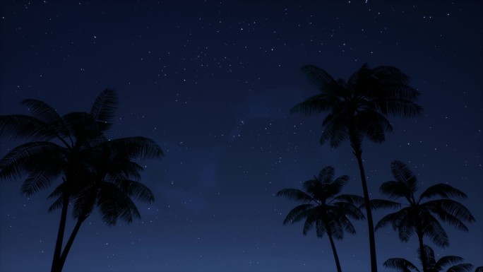 夜晚海边椰子树04