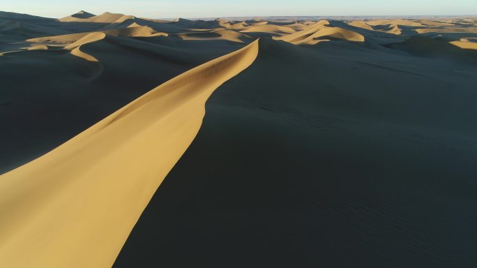 沙漠素材防沙治沙 环境治理抗旱