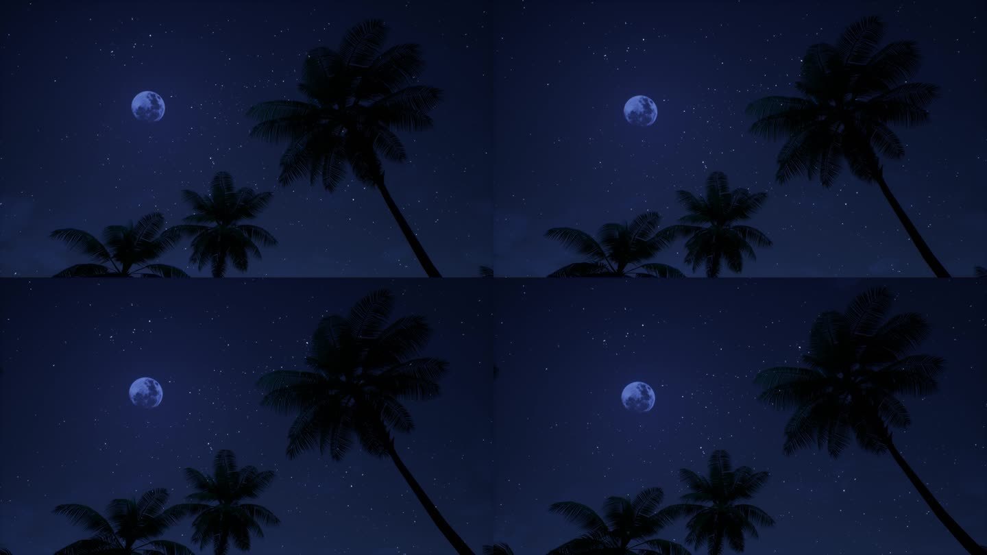 夜晚海边椰子树02