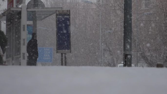 风雪中的街道雪花飞雪飘雪下雪鹅毛大雪