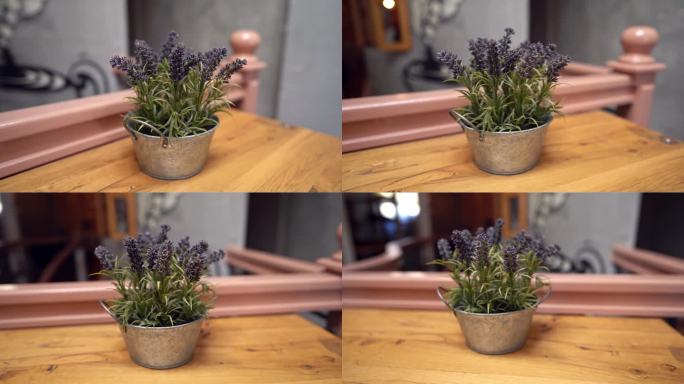 咖啡店花盆里的花花盆盆栽盆景