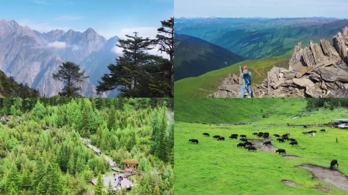 航拍山脉山川雪山森林日出云海风光