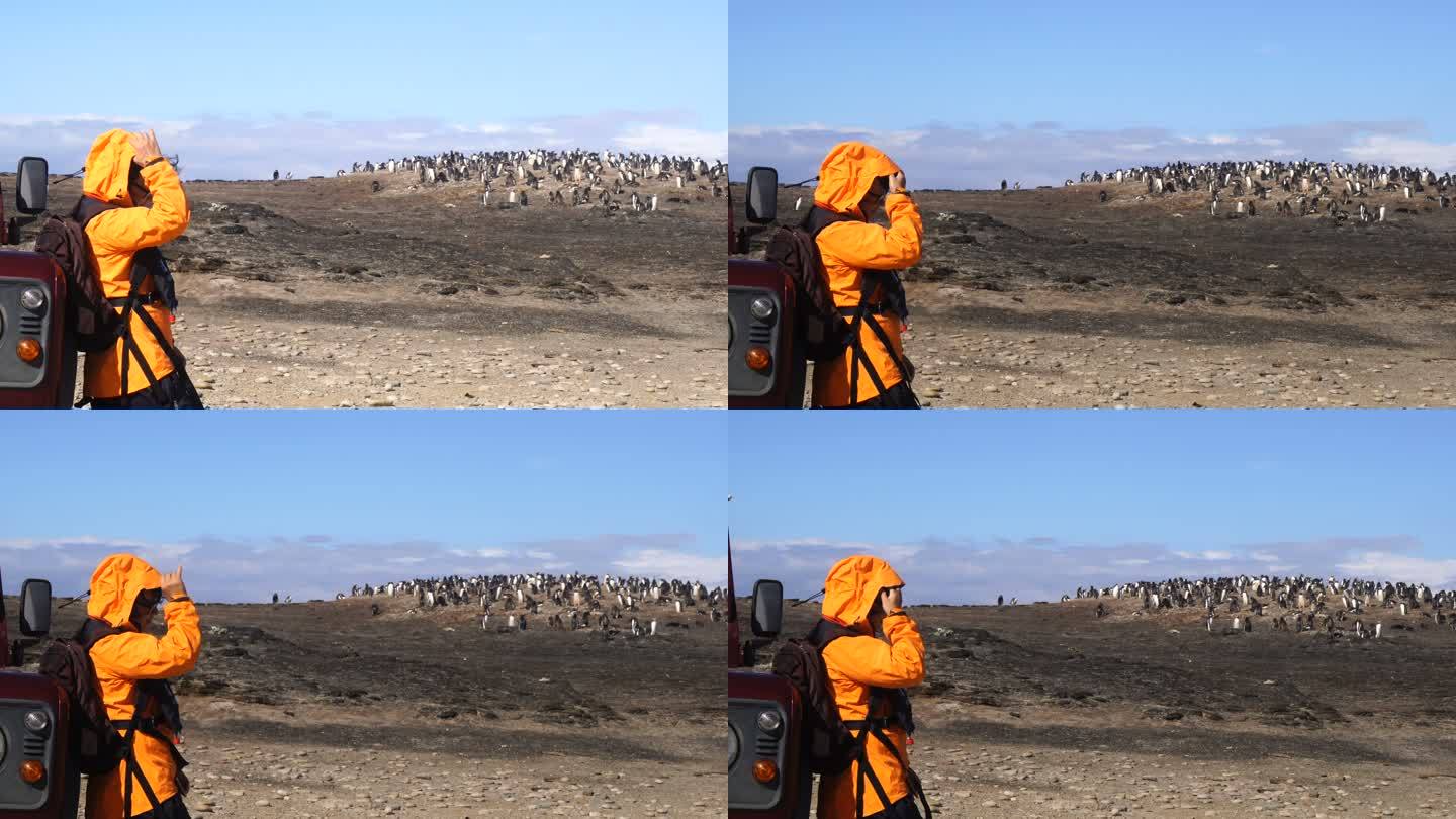 在南乔治亚州索尔兹伯里平原上，妇女们观看毛皮海豹
