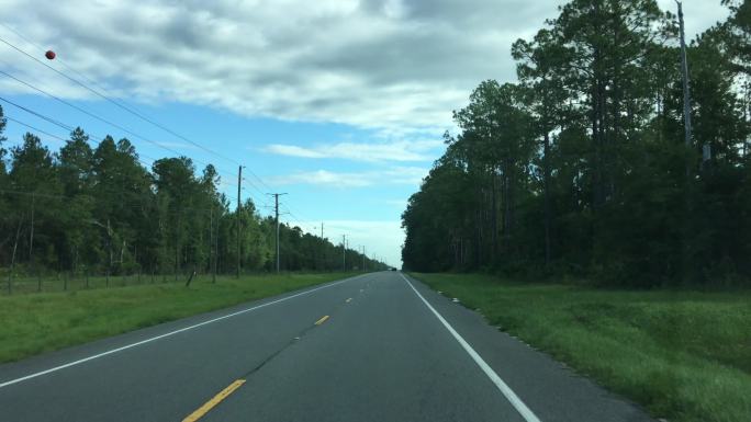 夏季驾车沿着平坦起伏的丘陵直走，在佛罗里达州Keystone Heights附近，有松树和森林