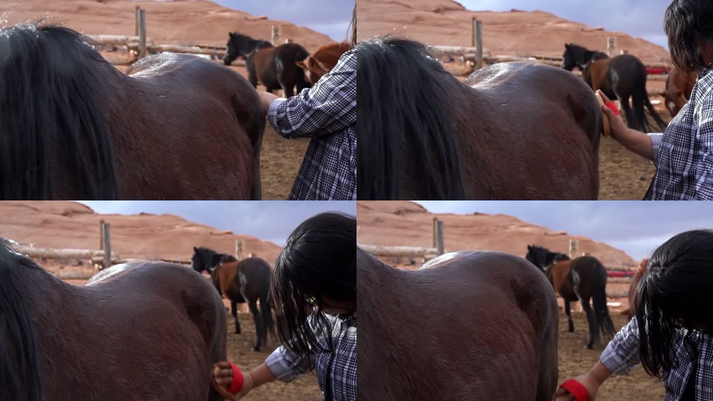 一个美国土著女孩梳理她的马