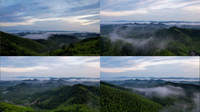 山川云海竹海