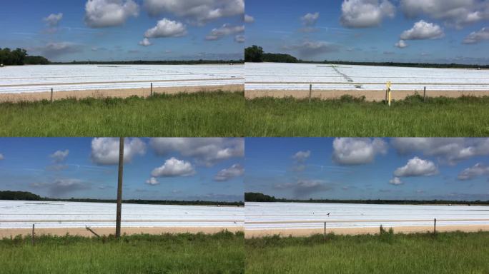 广阔的农田，覆盖着塑料的农业活动床，天空湛蓝，云层密布