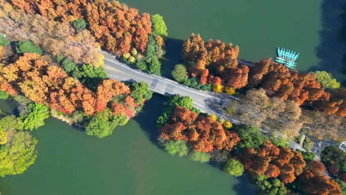 4K杭州西湖航拍美景秋景