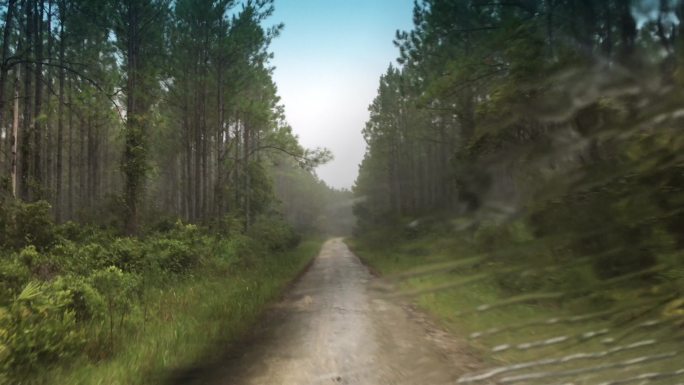 驾驶员在雨林中的土路上驾驶时的视野，前方有弯道