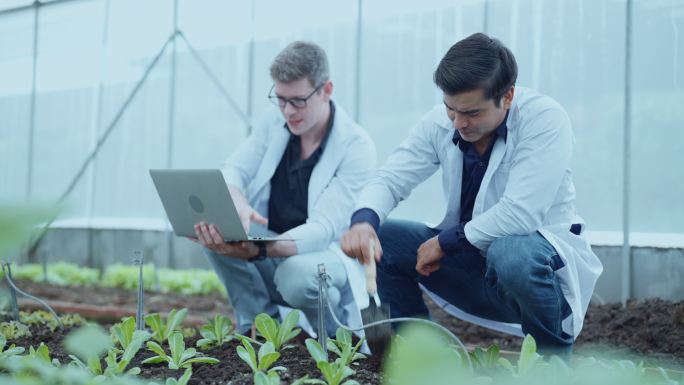 具有可持续性的蔬菜食品由科学发明。