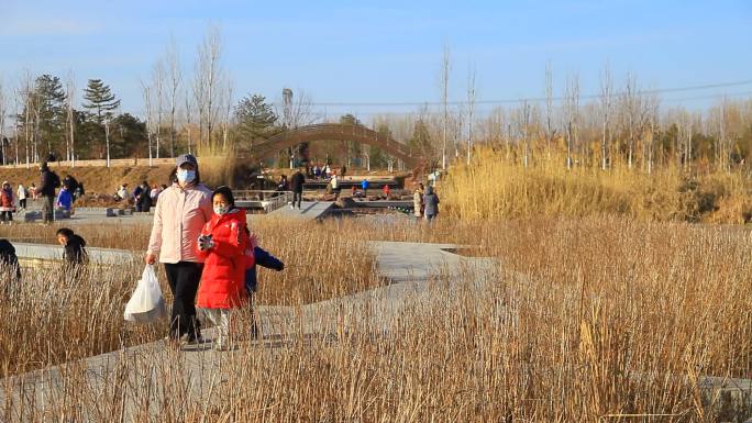 冬季公园大人和小孩从芦苇丛中的桥上经过