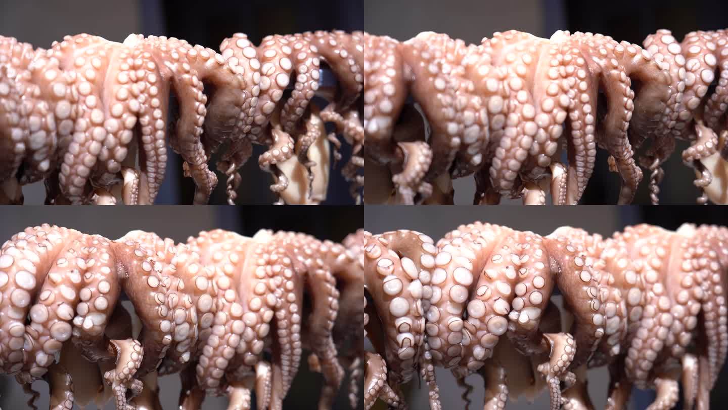 章鱼触手章鱼须视频空镜头通用素材