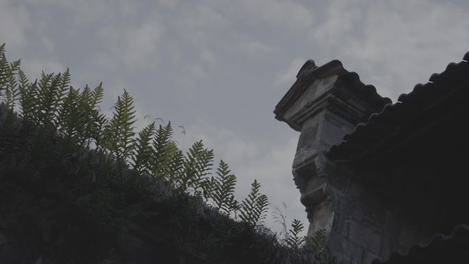 乡村振兴美丽乡村农村古迹合集