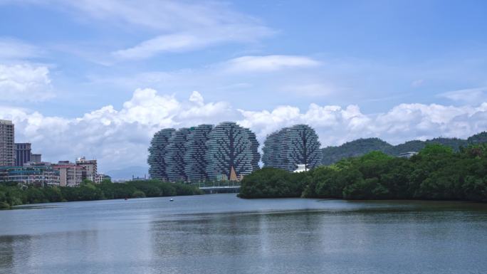 大树公馆延时/三亚/海南岛/国际旅游城市