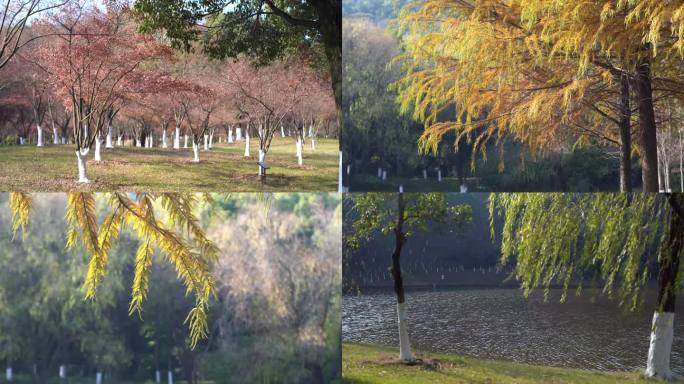 张家港香山景区秋冬季节景色