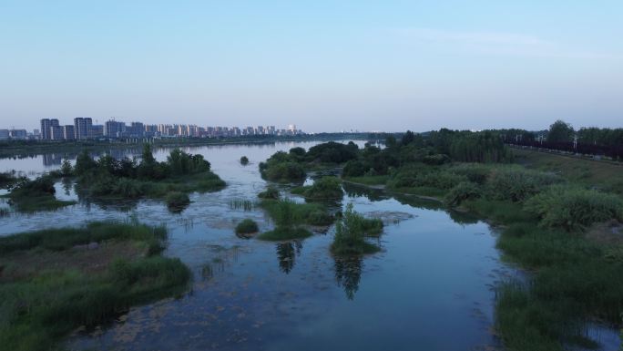 4k航拍渭河生态景观