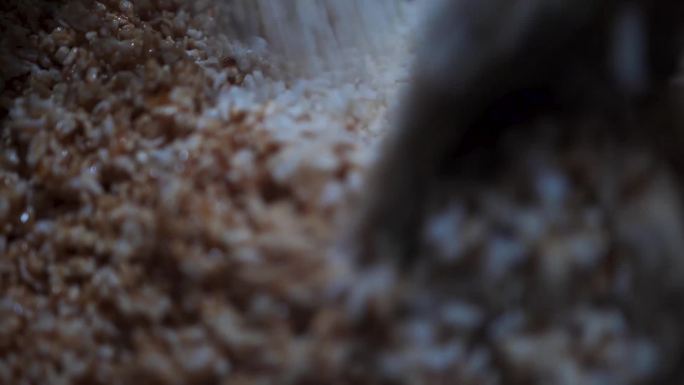 壮族过年传统美食米花的制作全过程