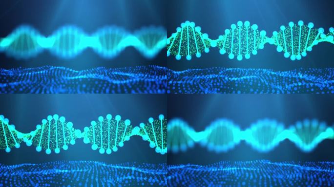 dna链条生物科技