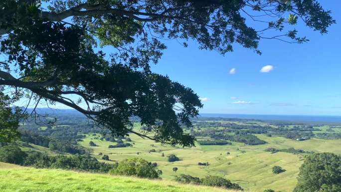 俯瞰绿色乡村山谷绿色乡村澳大利亚生态大树