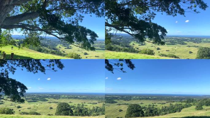 俯瞰绿色乡村山谷绿色乡村澳大利亚生态大树