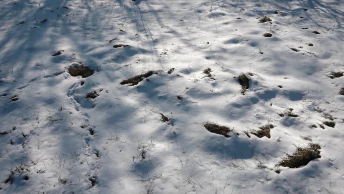 雪地光影延时