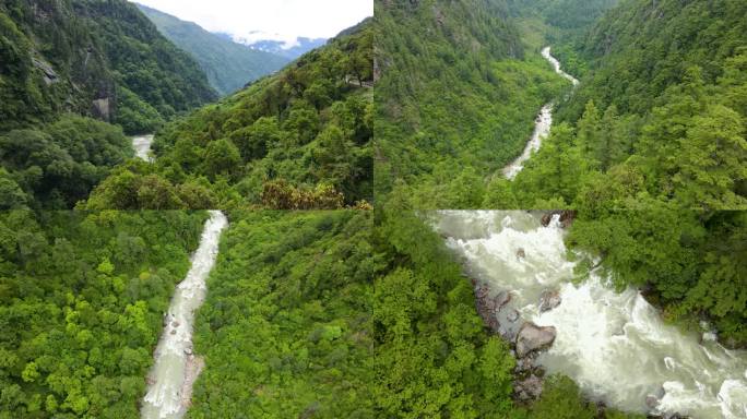 航拍西藏原始森林  溪流 峡谷
