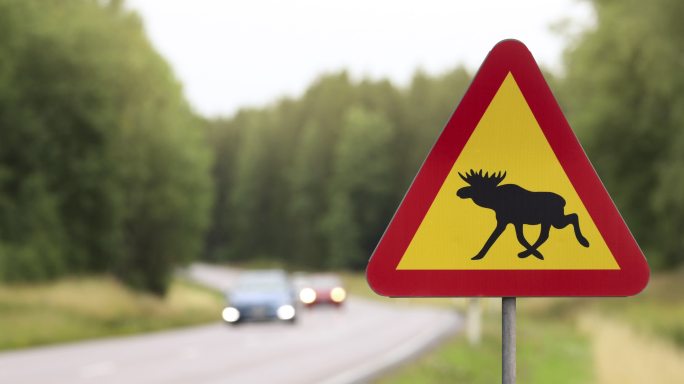 穿过森林的道路上的驼鹿警告标志