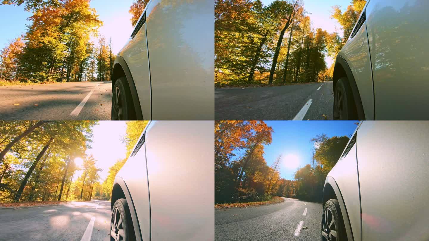 一辆汽车在阳光下沿着秋天的森林在柏油路上行驶的轮胎