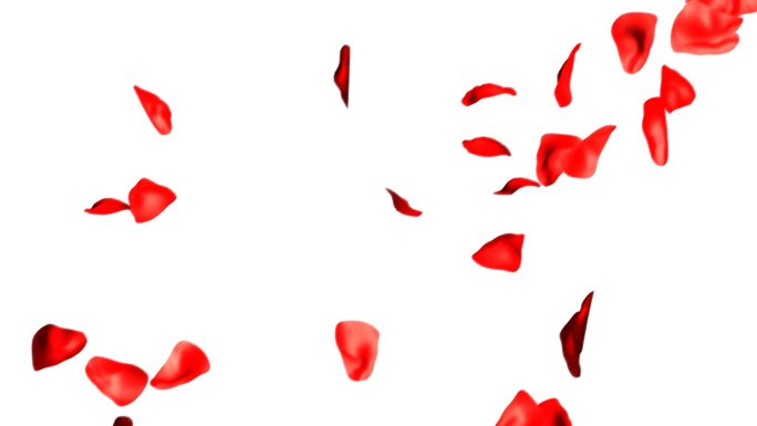 玫瑰花瓣掉落Hd红色玫瑰花瓣动画特效抠像