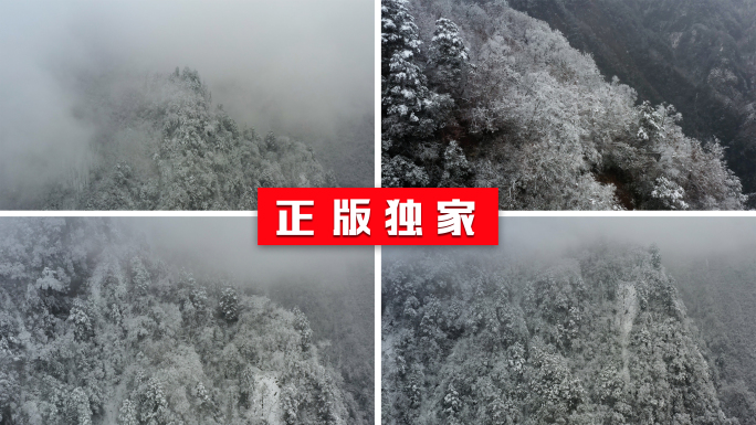 雪雾凇立冬冬至森林大雪冬天冰雪下雪积雪花