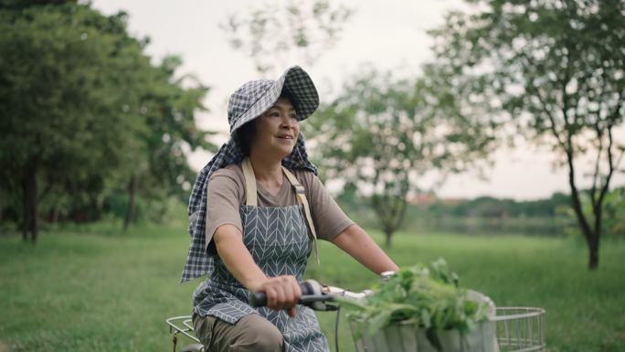 女人骑自行车低碳环保绿色出行农村妇女