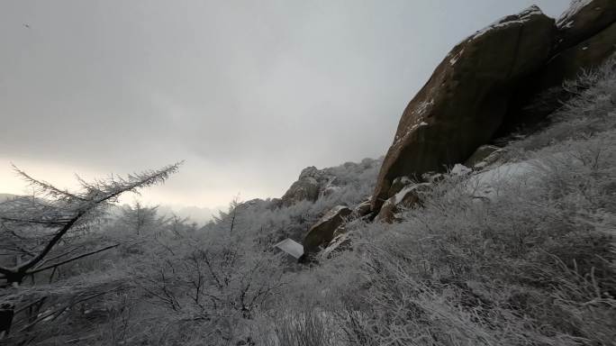 崂山巨峰雪天雾淞穿越机