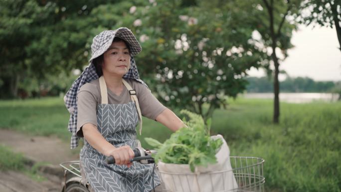 女人骑自行车低碳环保绿色出行农村妇女