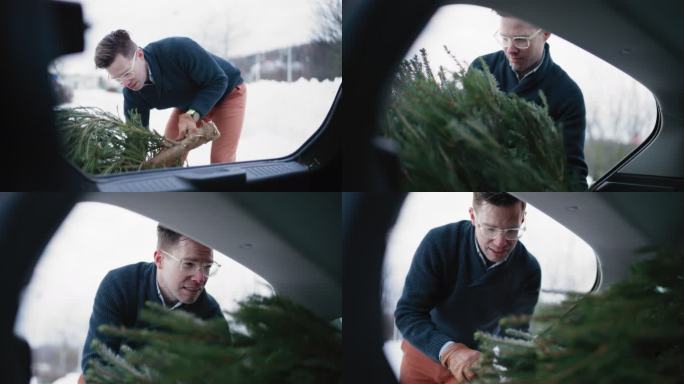 把圣诞树放进汽车后备箱