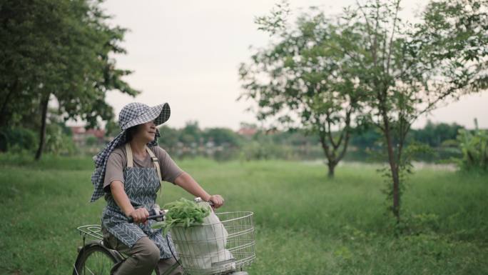 女人骑自行车低碳环保绿色出行农村妇女