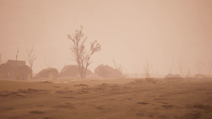荒漠风沙