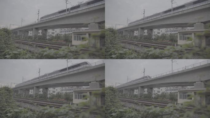 轻轨驶过大桥