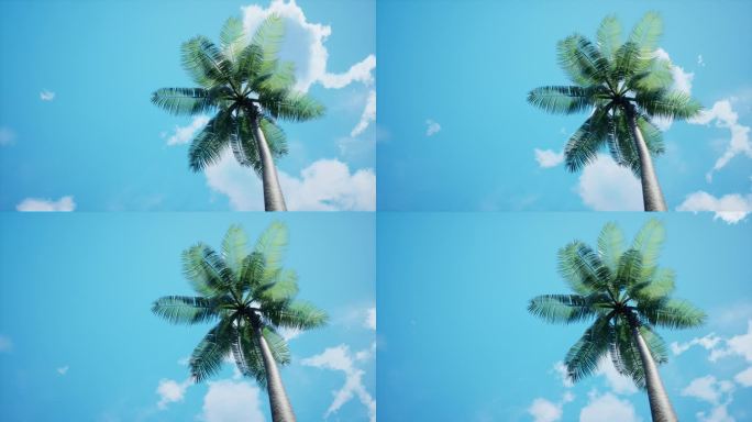 仰视椰子树天空