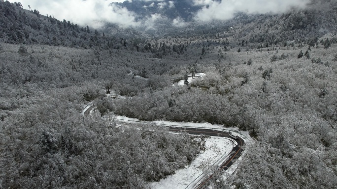 雪景视频