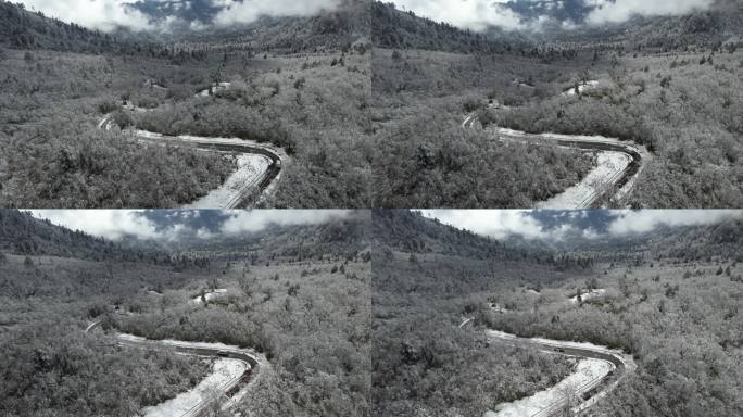 雪景视频