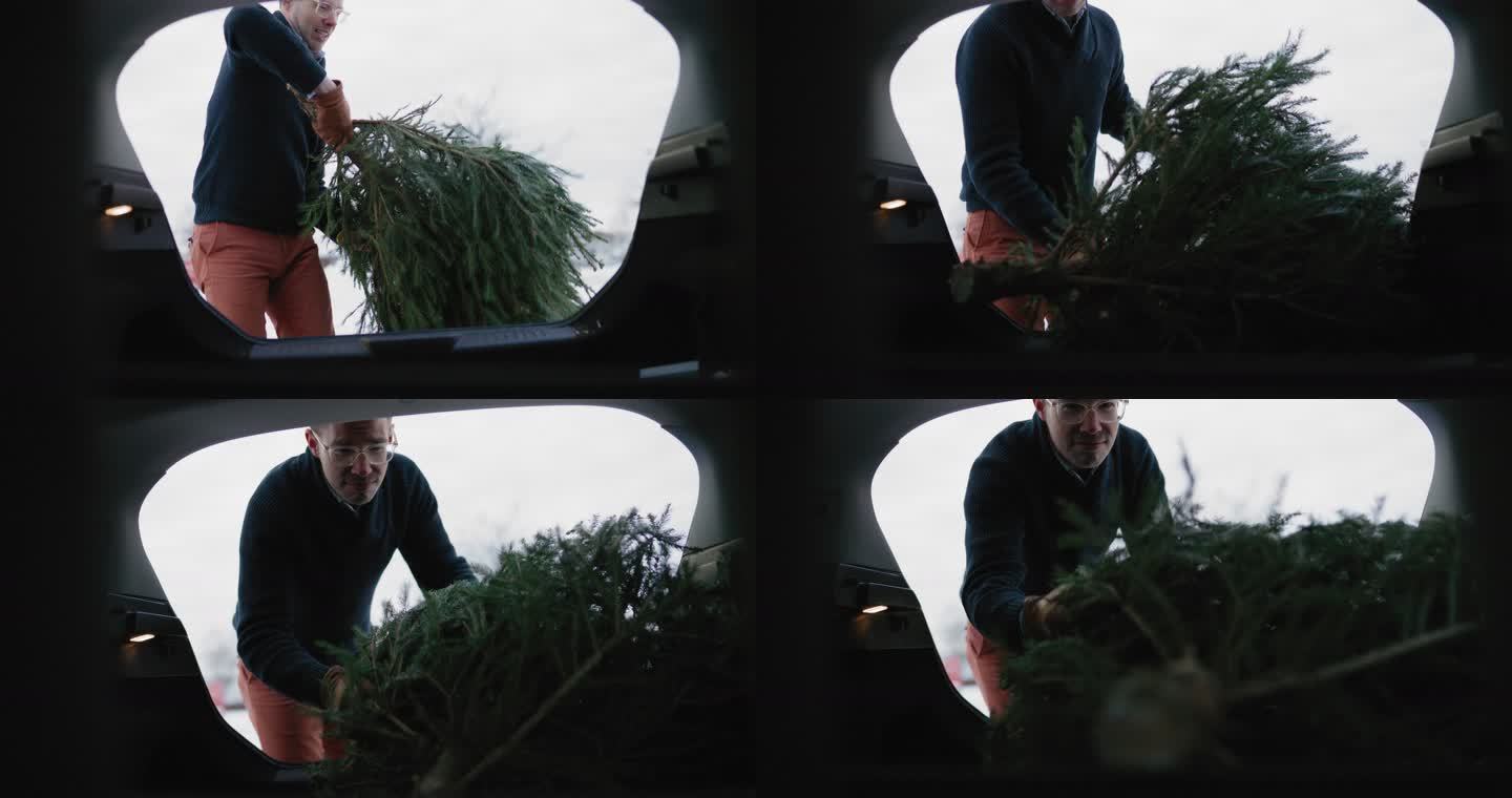 把圣诞树放进汽车后备箱