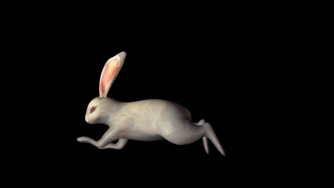 玉兔奔跑循环