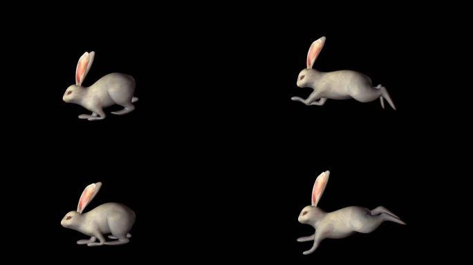 玉兔奔跑循环